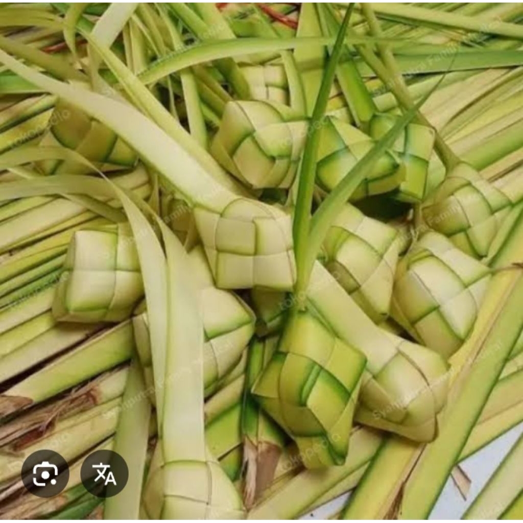 

janur kuning \bahan untuk membuat ketupat per ikat 1 ikat isi 10pcs