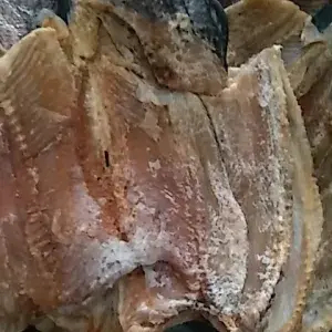 

Ikan Gabus Asin Kecil Perekornya