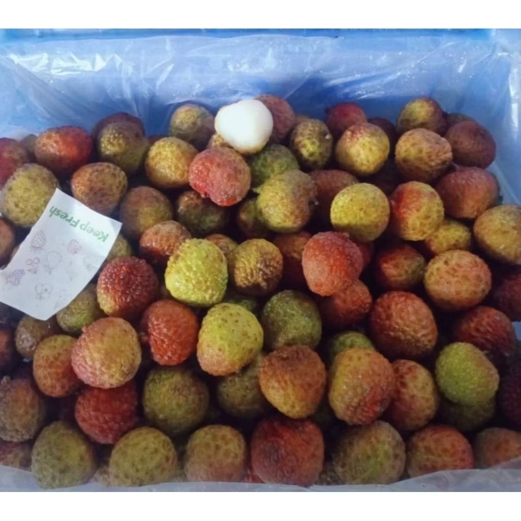 

Buah Leci Hijau segar dan manis berat 500 gr