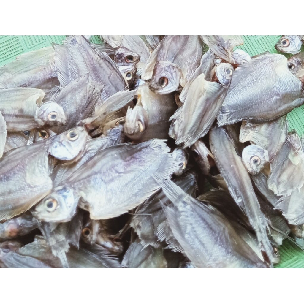 

ikan asin air tawar /ikan Sapat kering