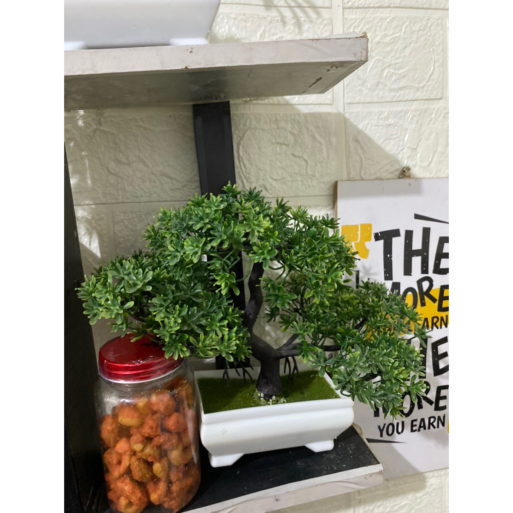 

Kacang mete extra daun jeruk