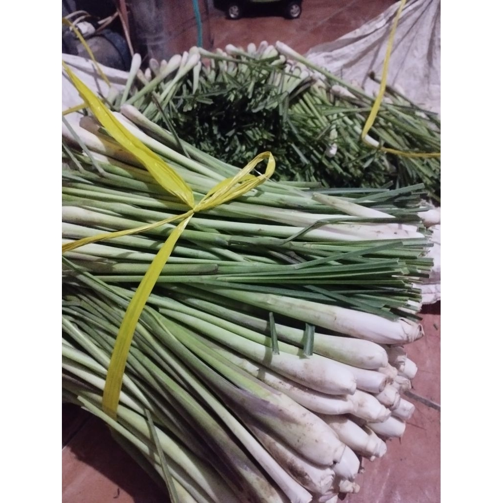 

sereh/ serai per kg segar wangi fresh