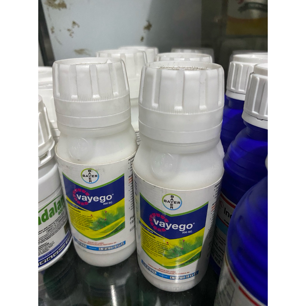 Vayego 100ml