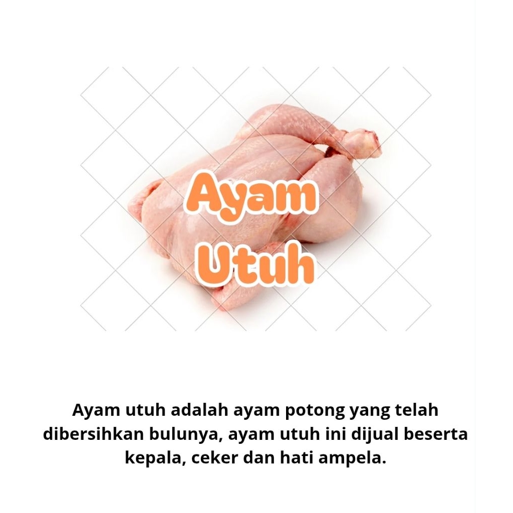 

PROMO !!! Ayam utuh 1 ekor (beserta kepala, ceker dan hati), FRESH