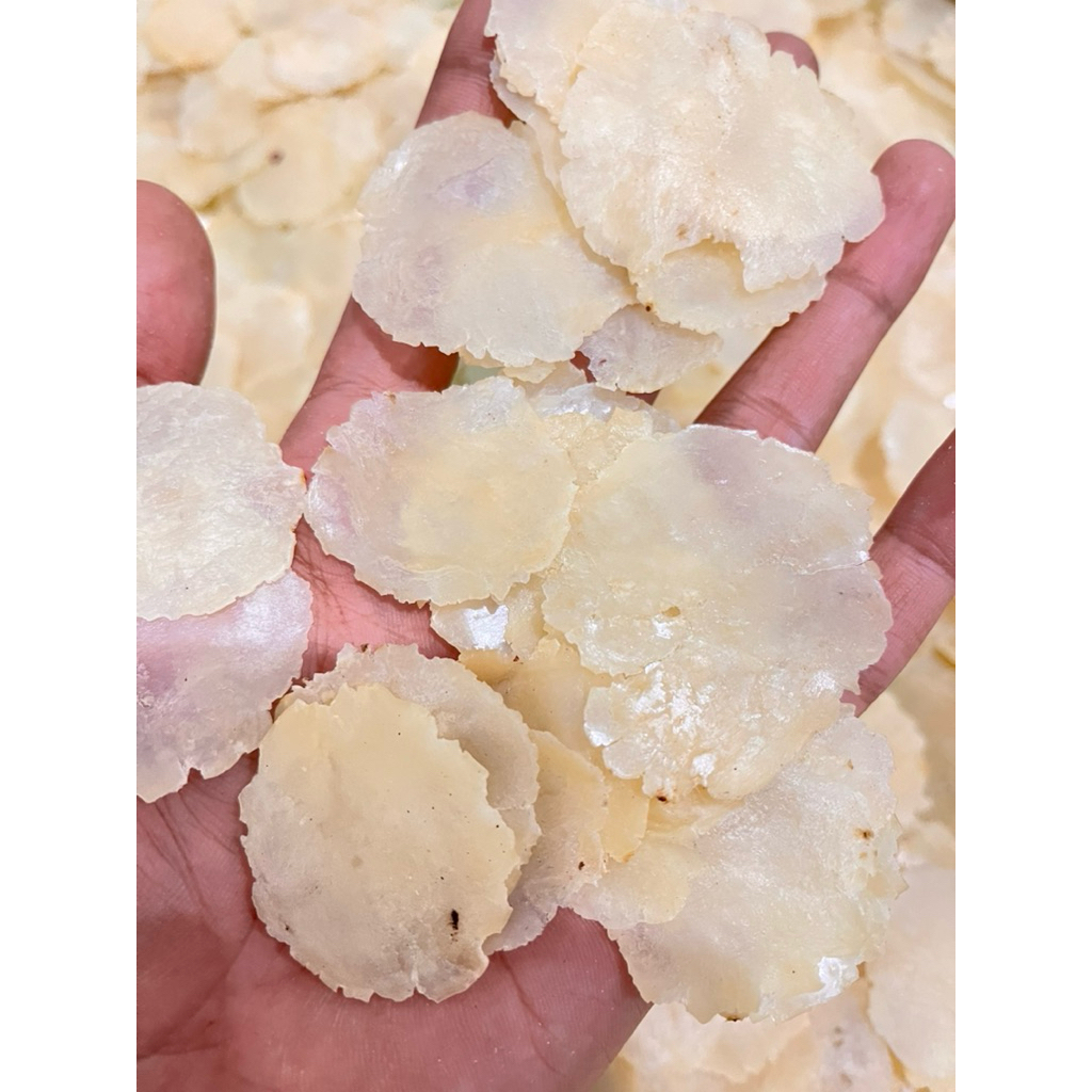 

EMPING MELINJO MENTAH FULL KERING (1KG) SP biji 1&2