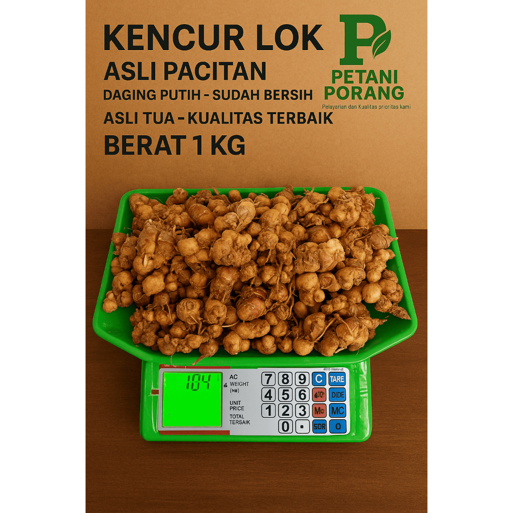 

Kencur Segar 1 Kg Kualitas Terbaik