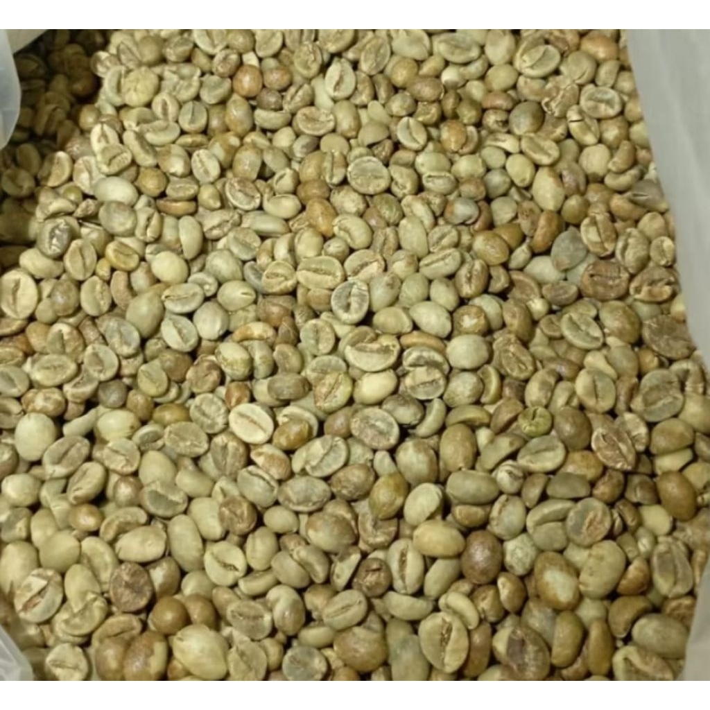 

Biji Kopi Mentah Robusta Argopuro Grade A 1kg