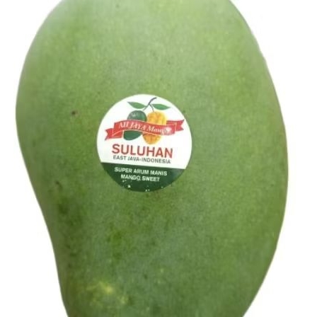 

Buah mangga suluhan matang pohon super premium manis 1 kg