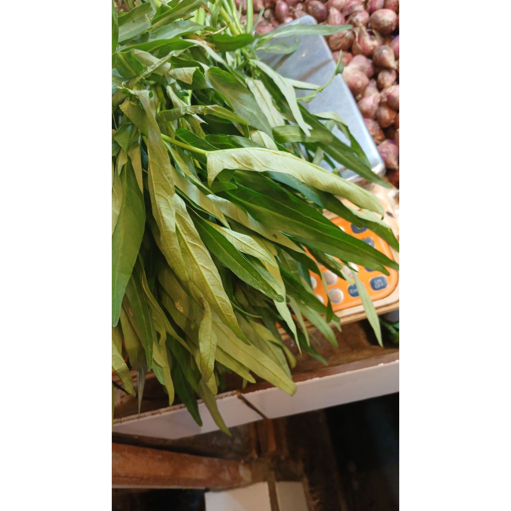 

sayur kangkung fersh promo hari ini 1 kg