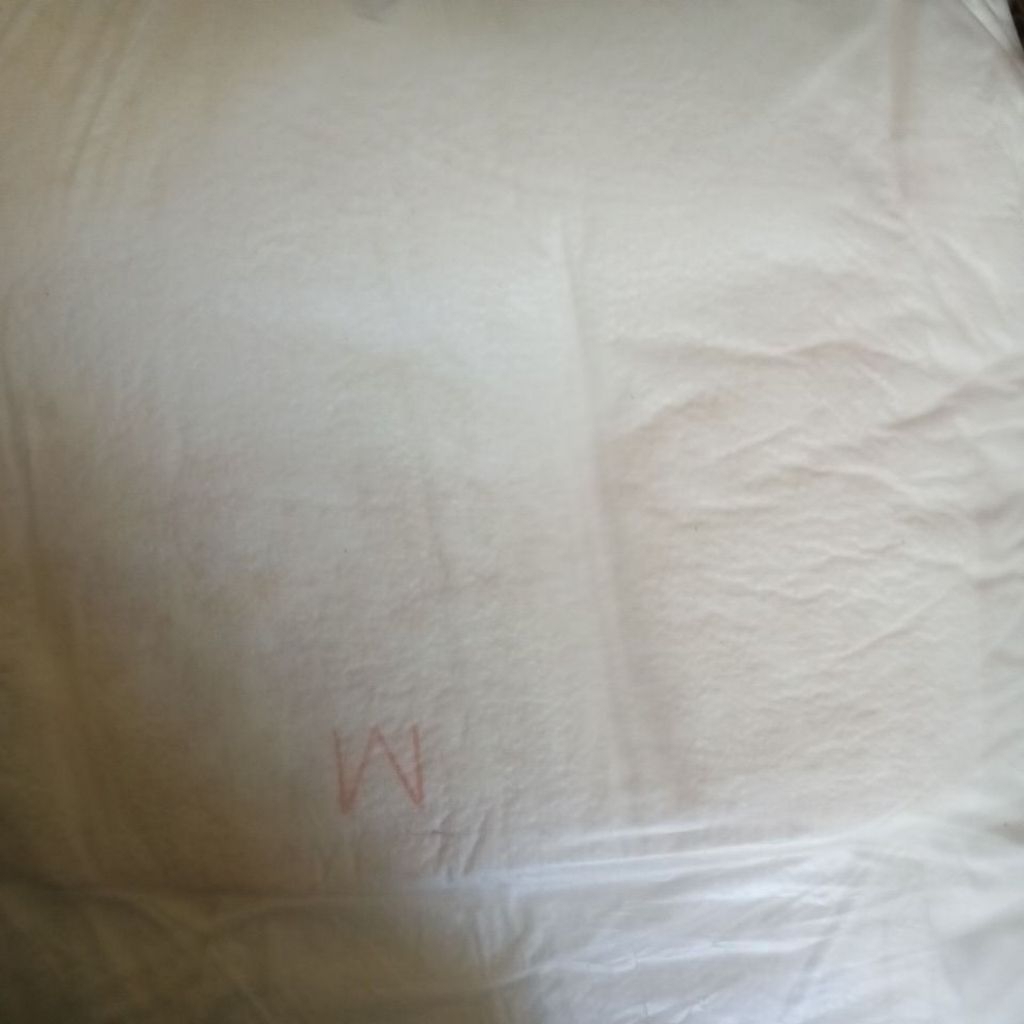 PROMO PAMPERS LANSIA PEREKAT M10