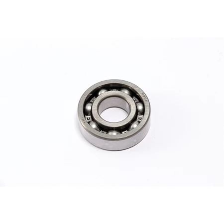 #5131 BEARING #6203 DAYTONA ANIMA