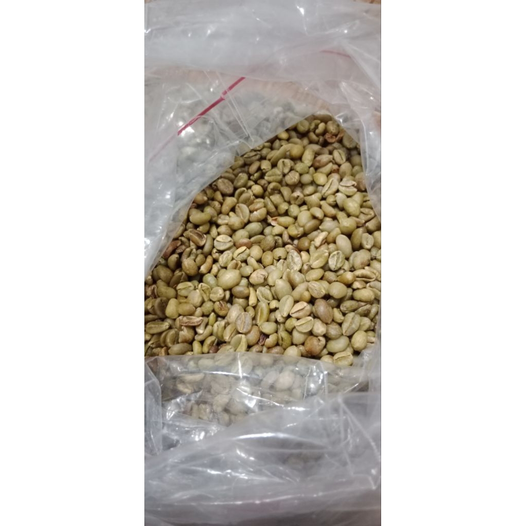 

greenbean excelsa 1 kilogram green bean excelsa kopi nangka 1 kg