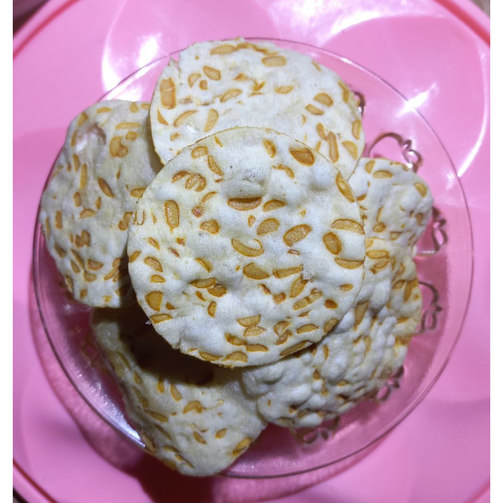 

KRIPIK TEMPE SAGU