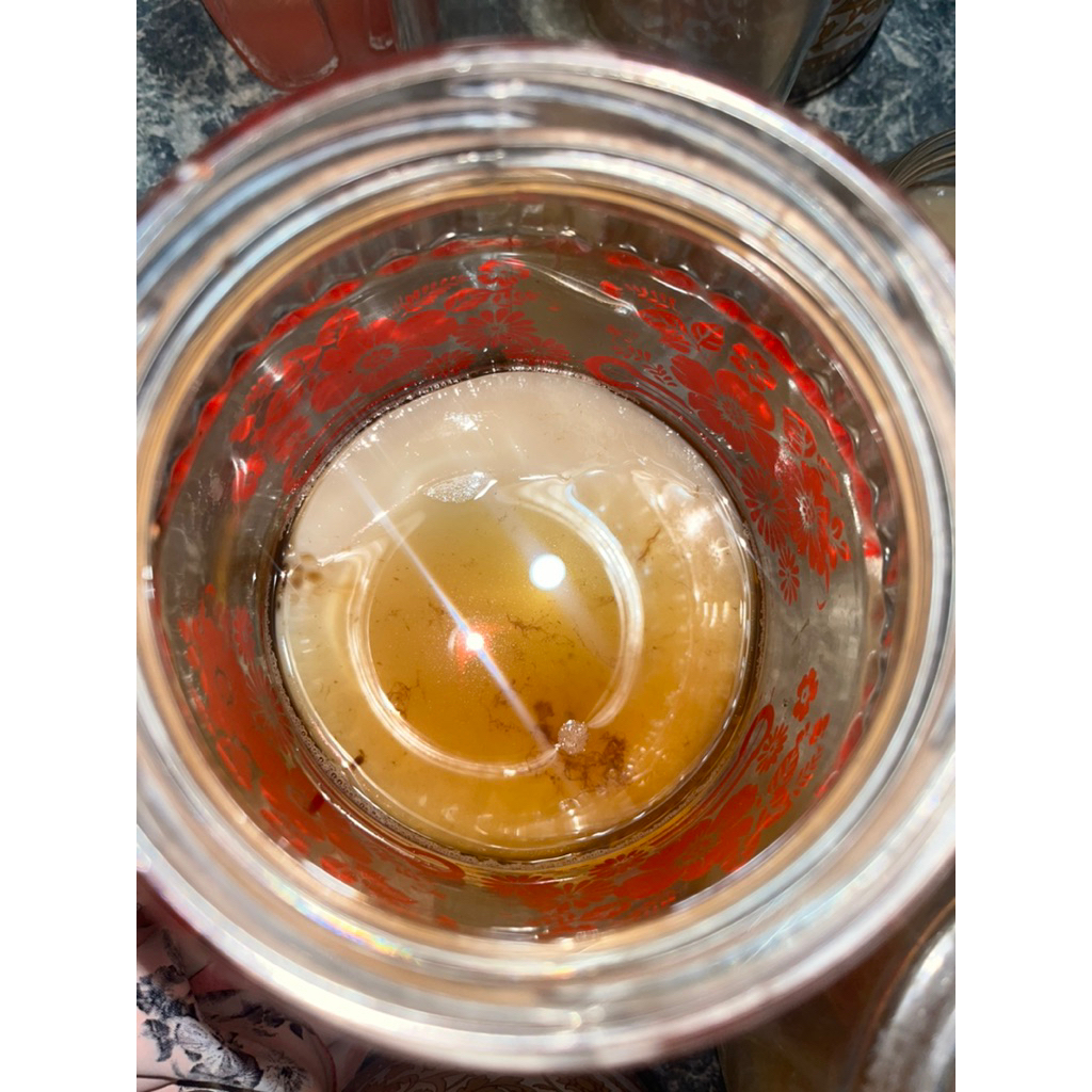 

SCOBY MEDIUM TEH KOMBUCHA