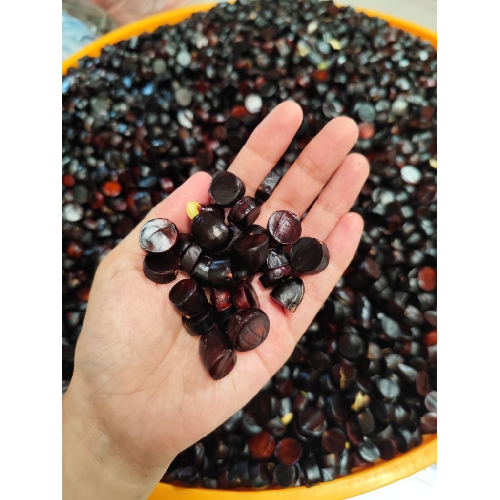 

Kabau jolang jaling jengkol sumatera kuwau