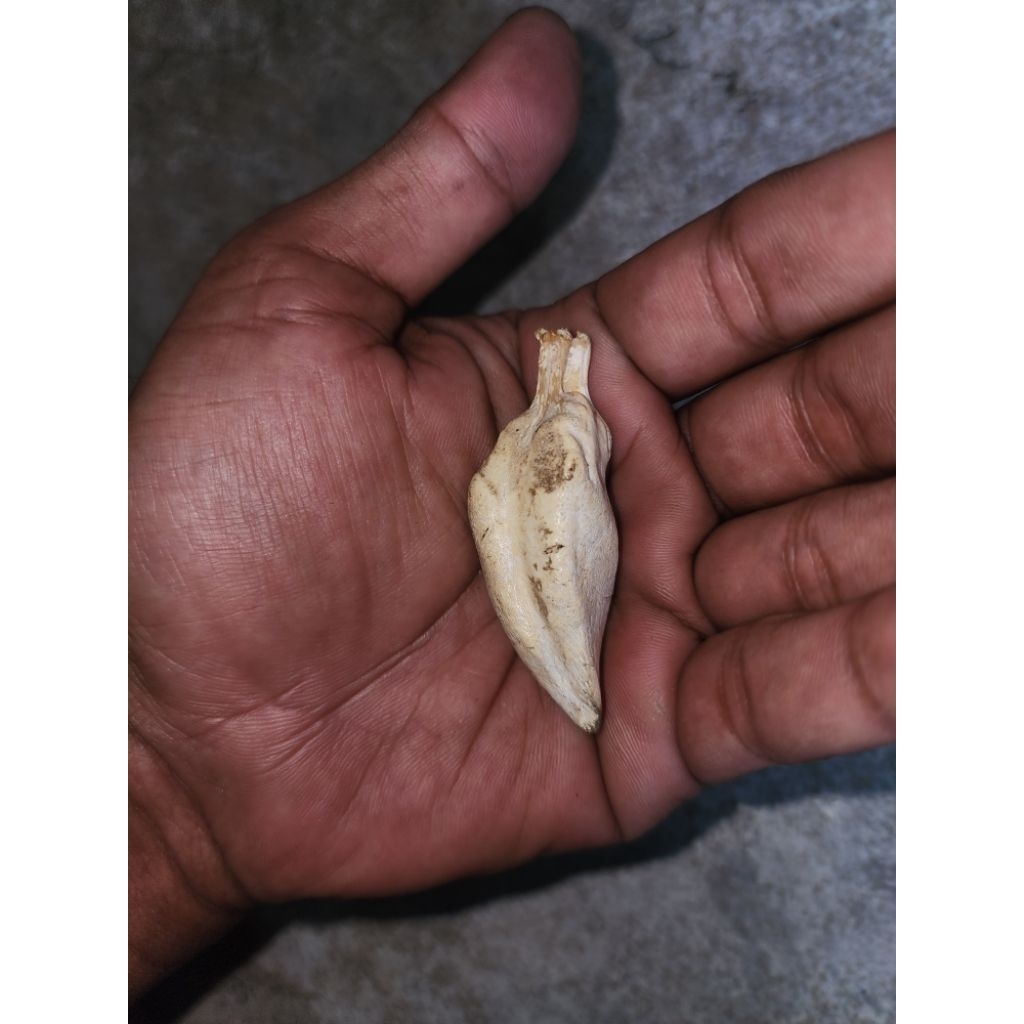 barang kuno antik rjbntkkntl unik peninggalan mbah antik