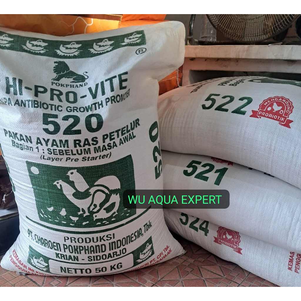 Repack 1 Kg 520 521 522 Pakan Ayam Petelur Starter DOC Grower (Masa Awal Petelur) baby Buras Tinggi 