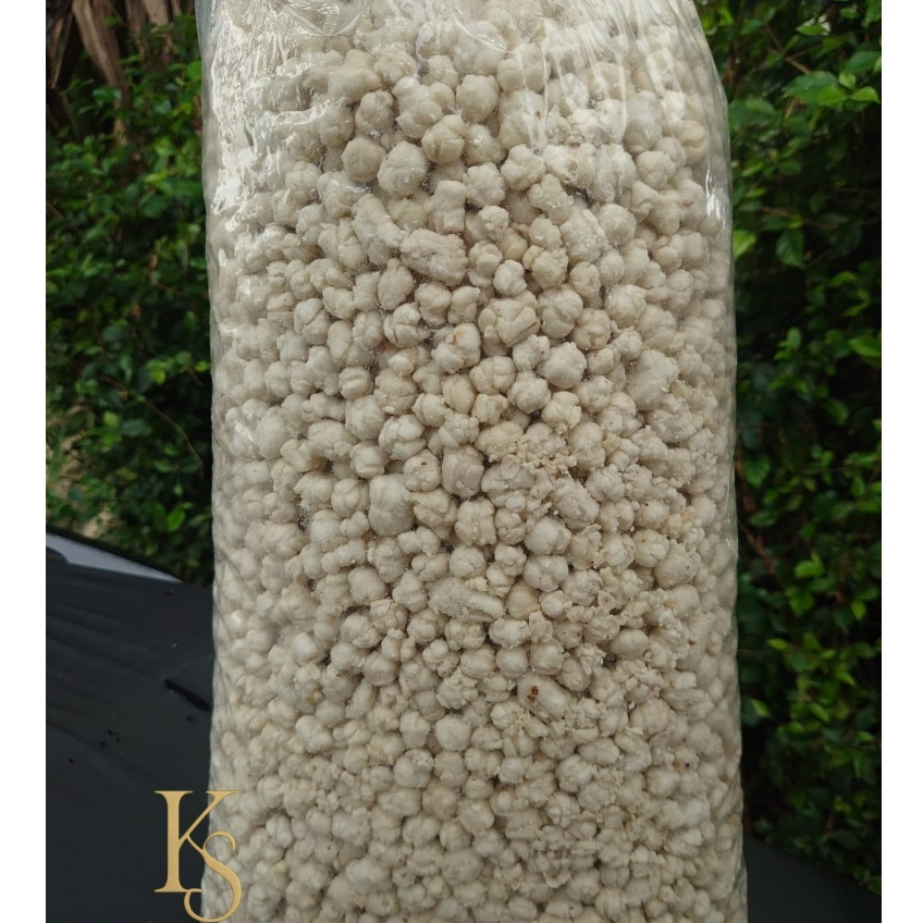 

Pilus Cikur Tiktak Kencur 1Kg – Snack Gurih Renyah Original Toping Seblak Cuanki Baso Aci | KOESMART