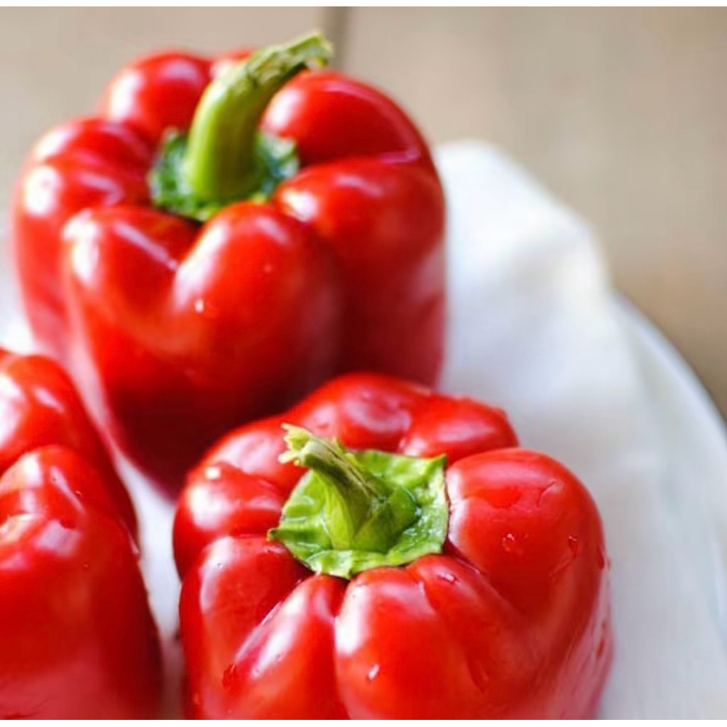 

Paprika Red Jumbo | Paprika Fresh 600gram