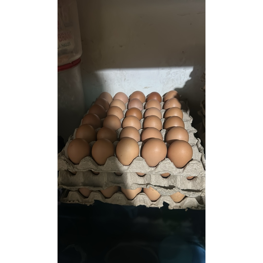

Telur Omega 1 piring grade B