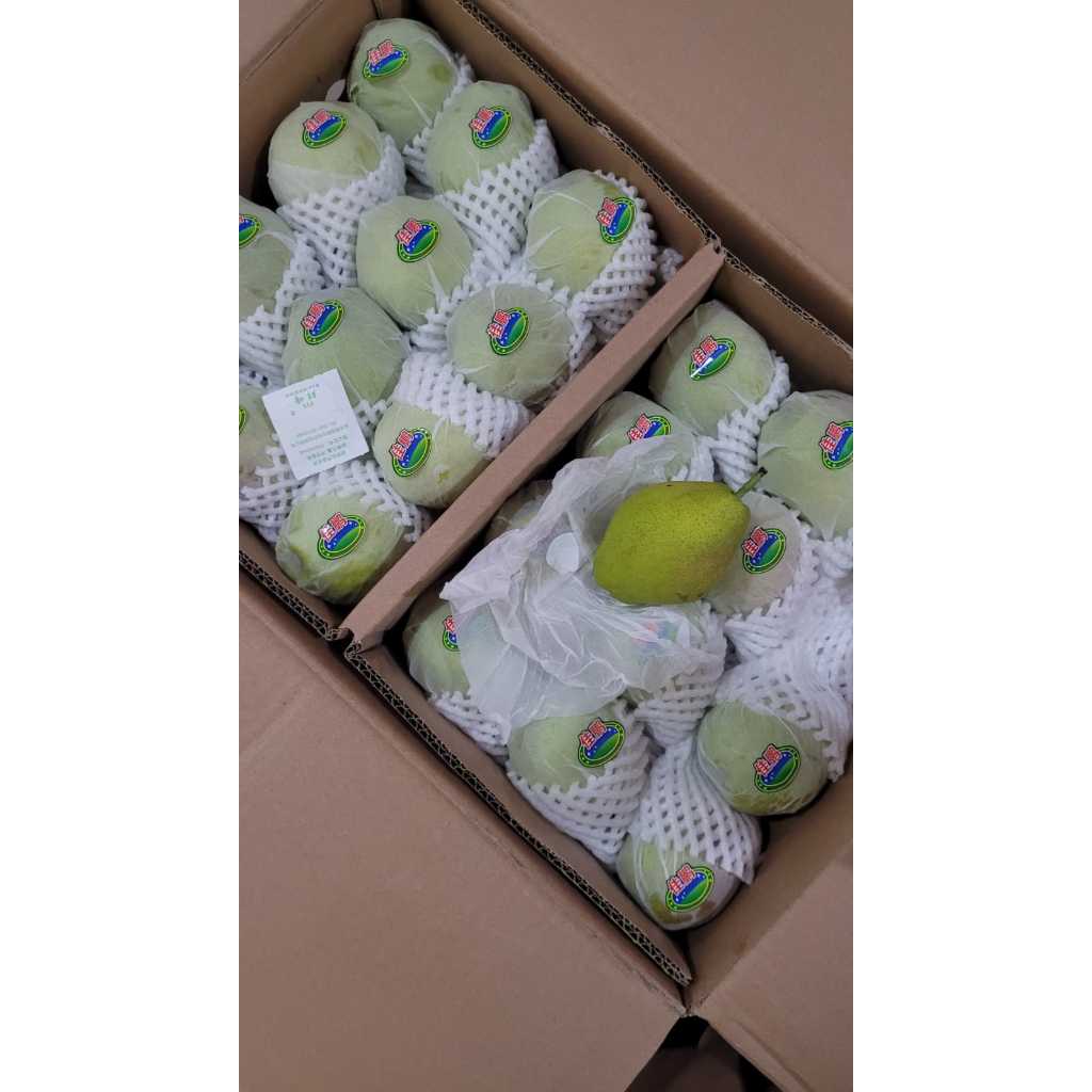 

Pear Pir Xiang lie Xiangli Xianglie Pir manis import 1 kg