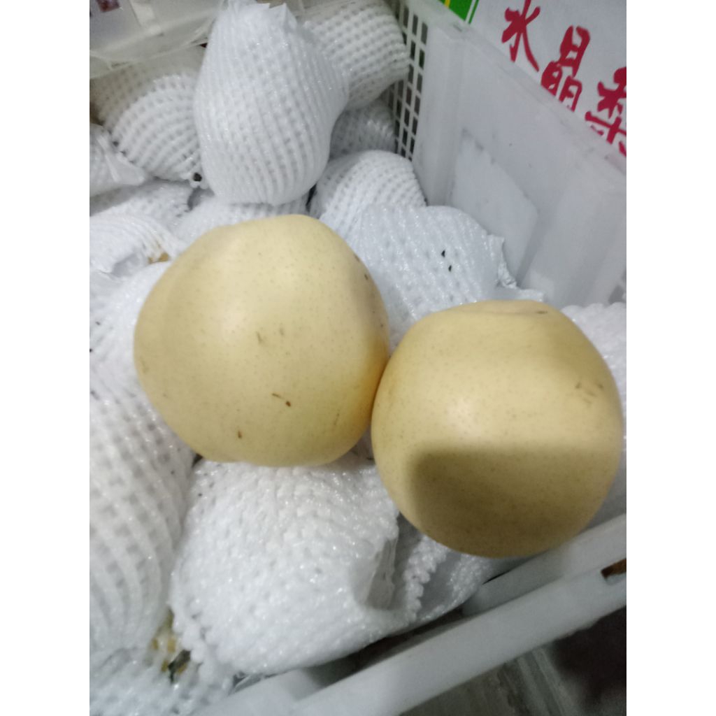 buah pir 1kg fress