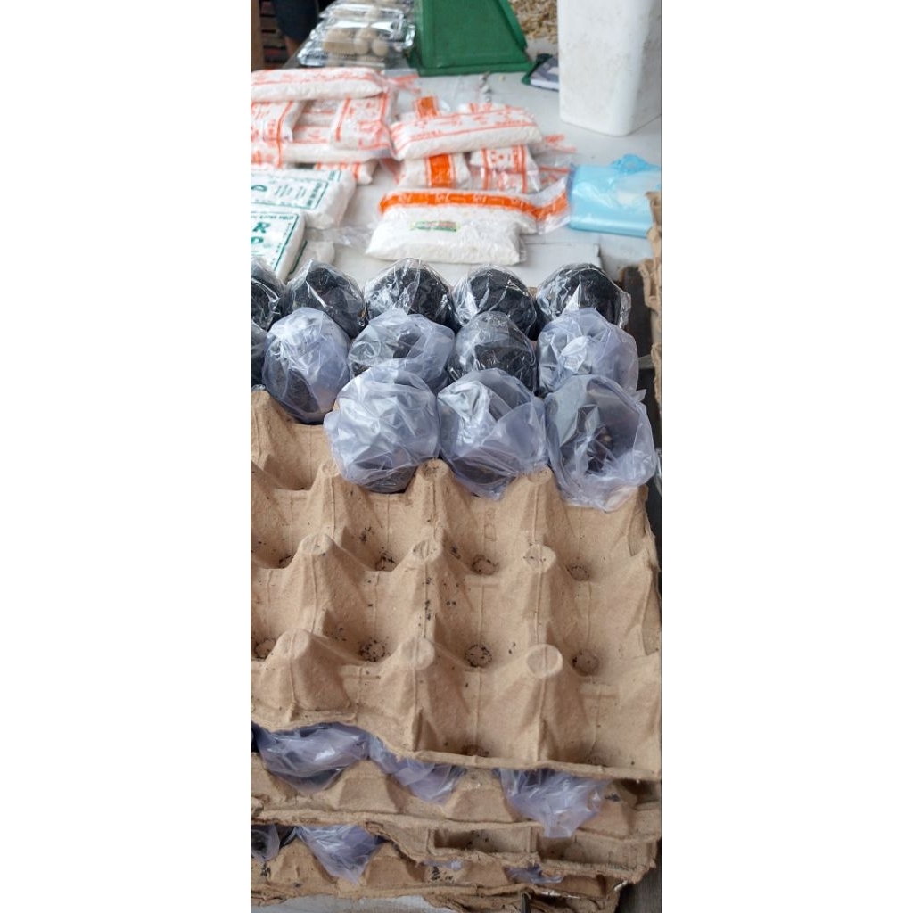

TELUR/TELOR ASIN MENTAH/TELUR ABU 1 butir