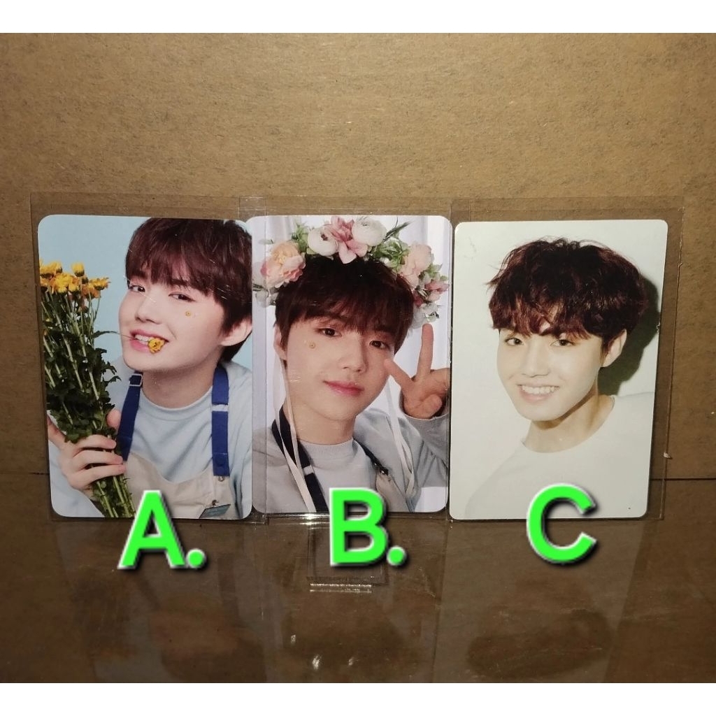 Official Photocard Treasure Doyoung Dobby PC Murah