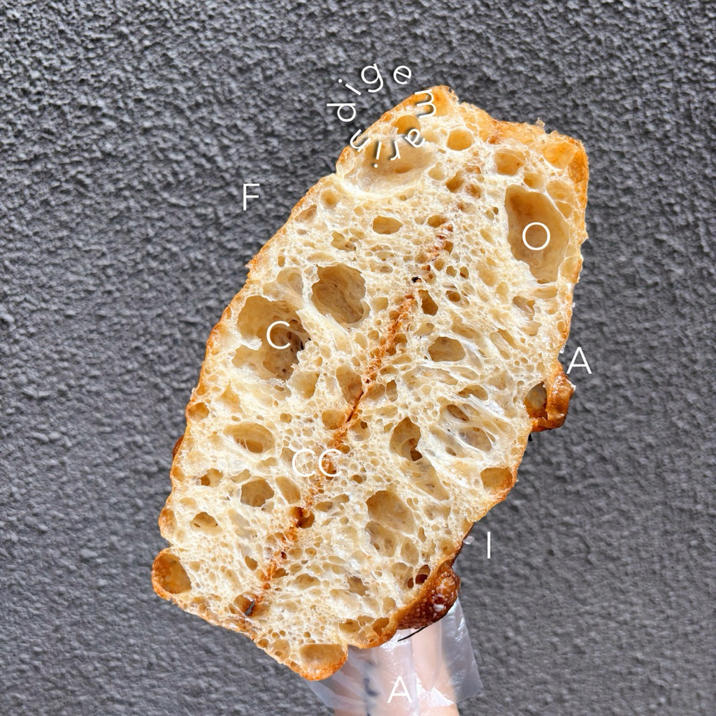 

AGED FOCCACIA SOURDOUGH 20x20 - Digemarin
