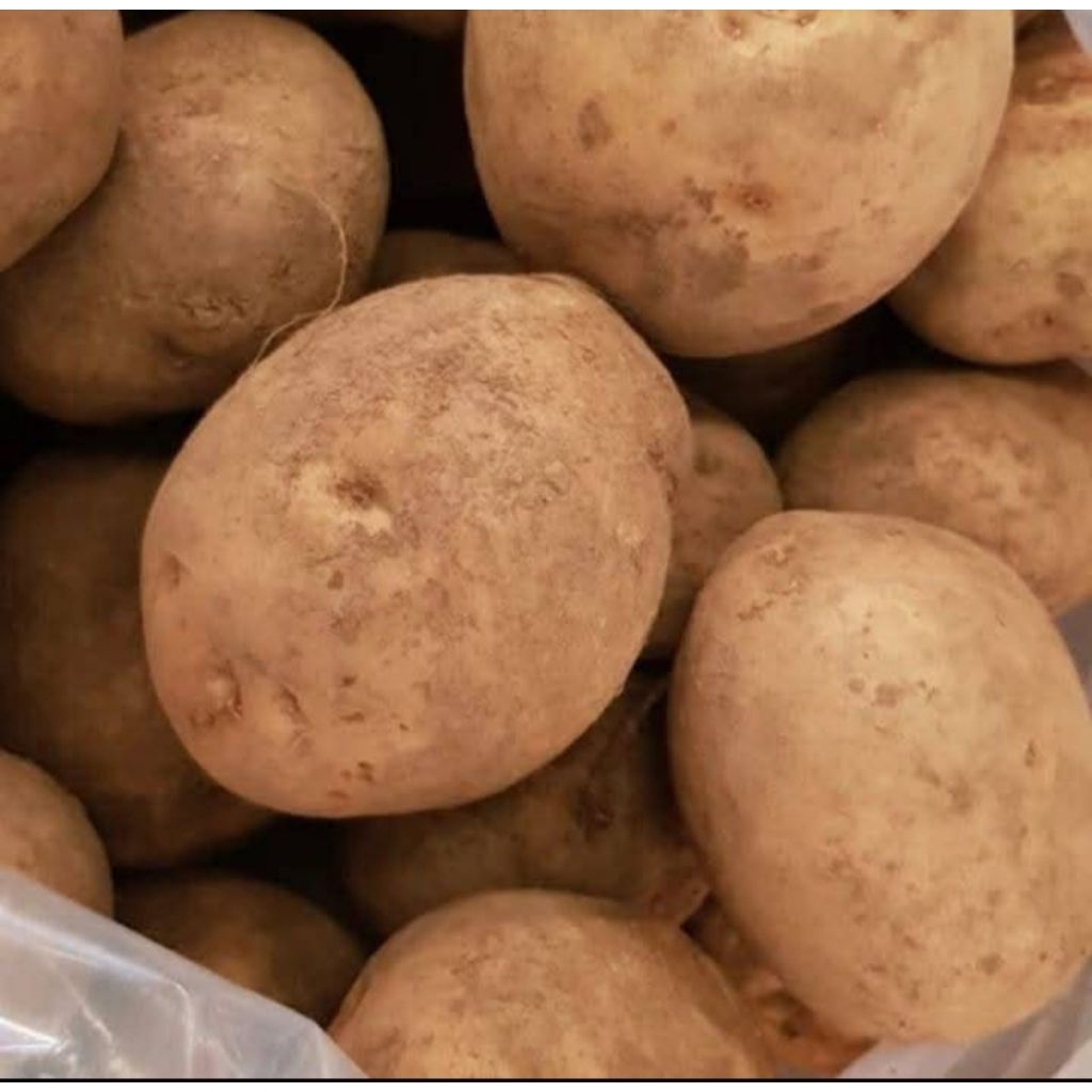 

KENTANG SUPER KONDISI SEGAR