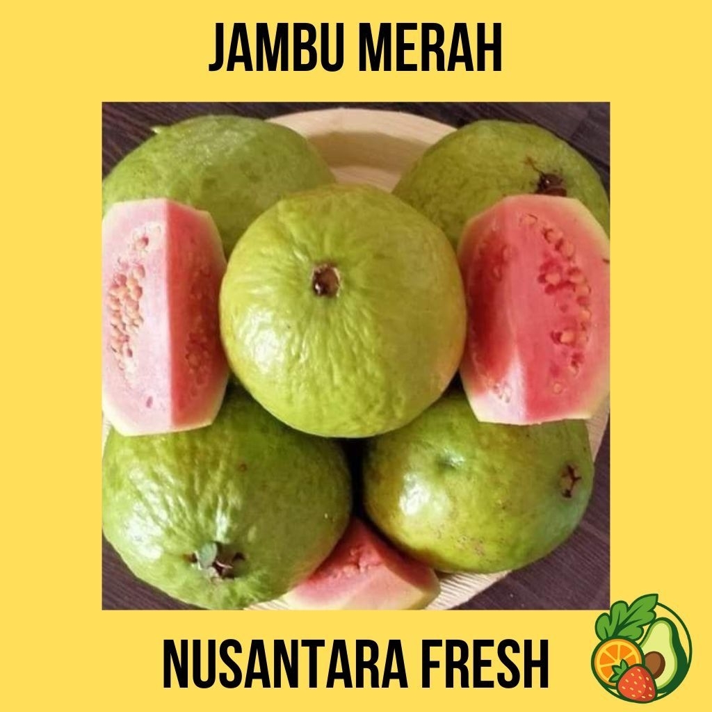 

JAMBU MERAH BIJI I 1 Kg I BUAH SEGAR BERGARANSI