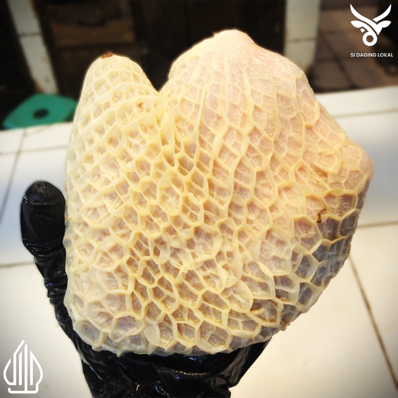 

Babat kantong sapi putih fresh - 1 kg