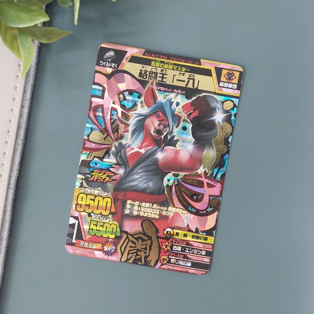 Kazuhachi | Ultimate Fighter Kazuhachi - Animal Kaiser Jepang