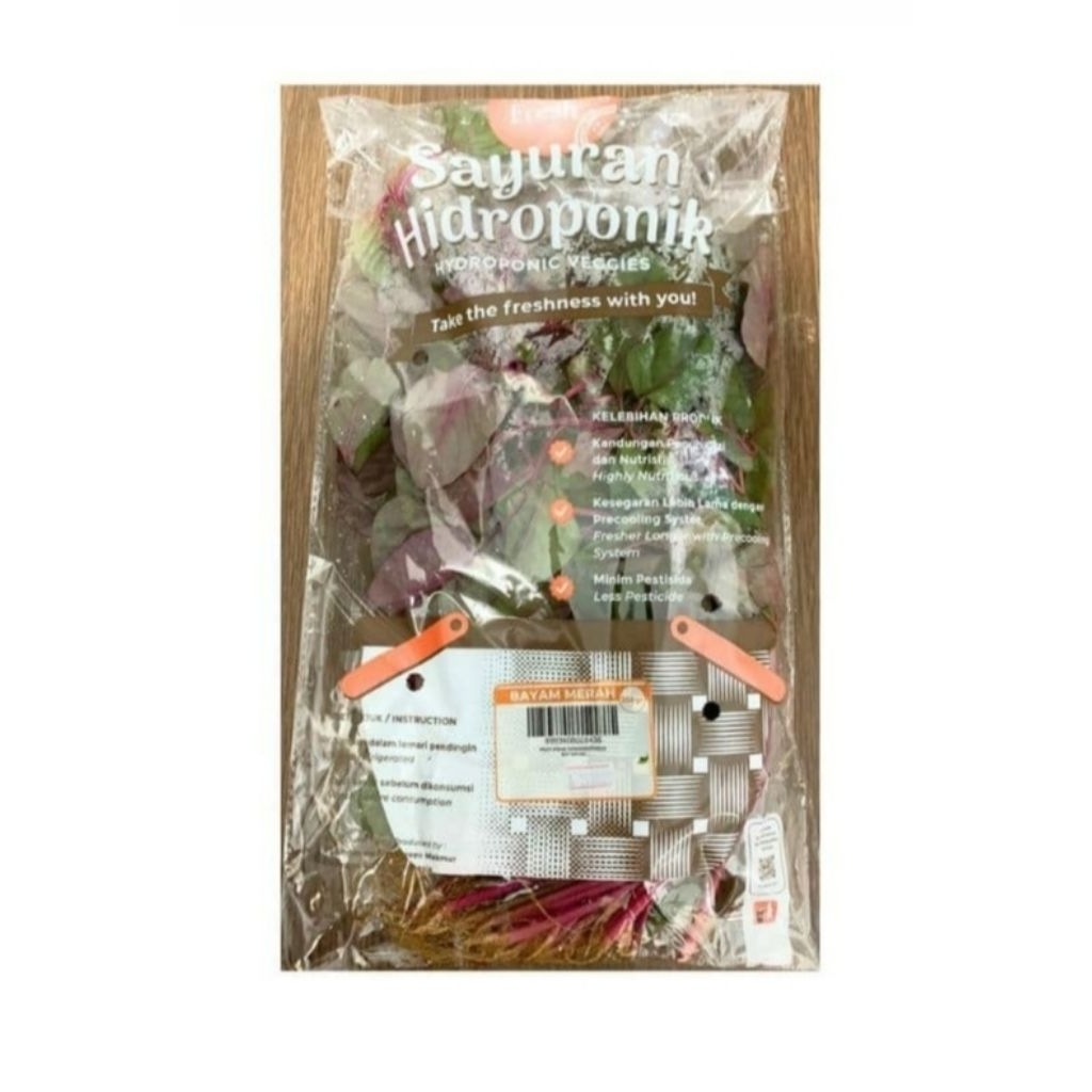 

Bayam Merah Hidroponik