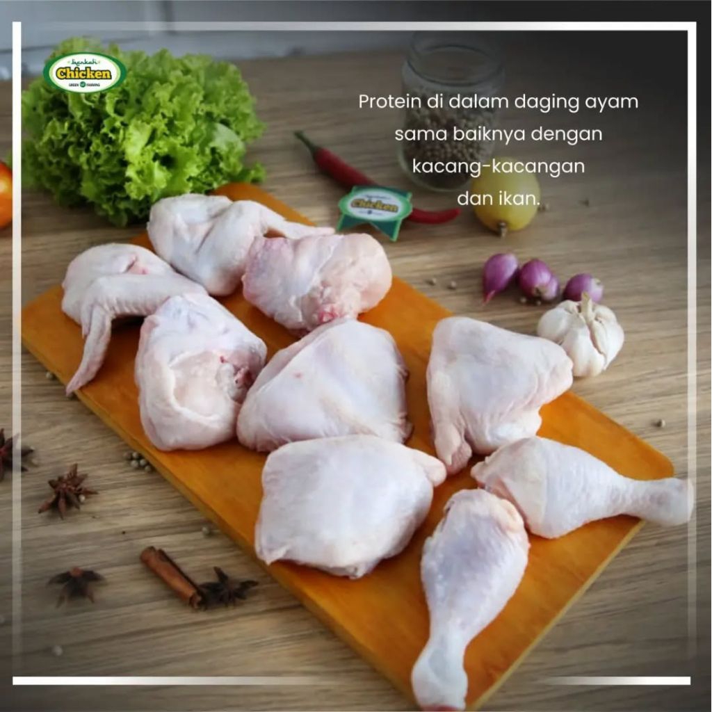 

Berkah Chicken | Ayam Negeri | Ayam Broiler | Sertifikat Organik | Pakan Probiotik | Ayam Parting | 1 Ekor Ayam sudah di potong | Ayam Utuh | Parting 4 | Parting 9 | Parting 10