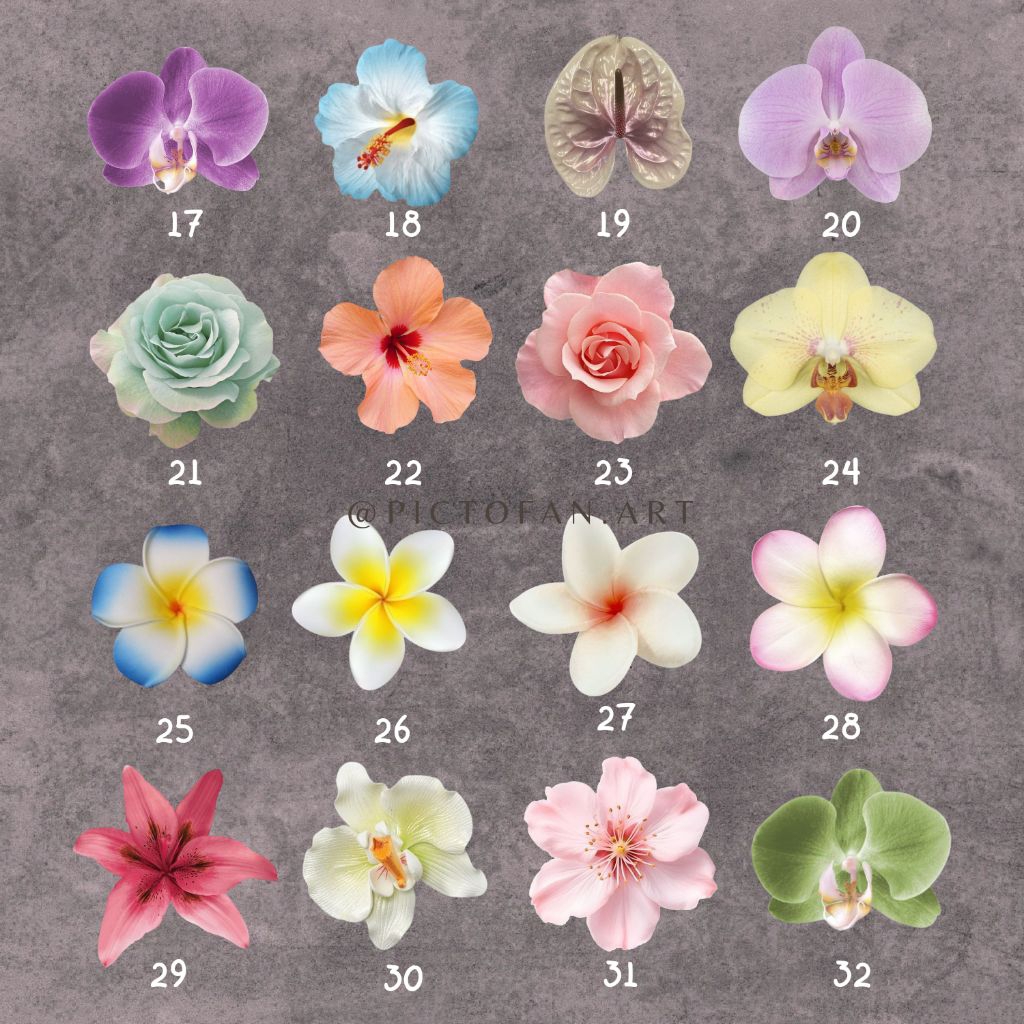 Evergreeeen Flower Popsocket / Griptok Akrilik Resin Popsocket Bunga Custom