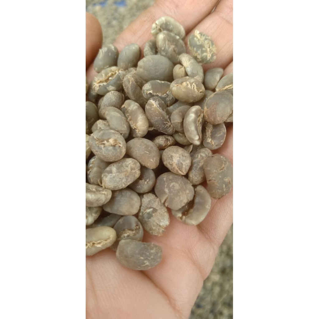 

Greenbean Arabika Karlos Arjuna Fullwash G1 - 1Kg