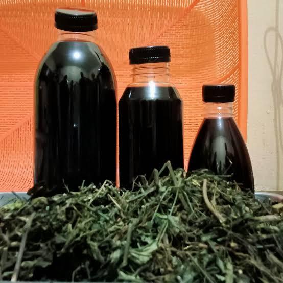 

Jamu Iboe Sambiloto Herbal