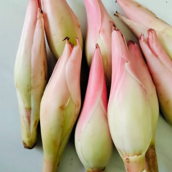 

KINCUNG KECOMBRANG BUNGA RIAS BUMBU MASAK 500G