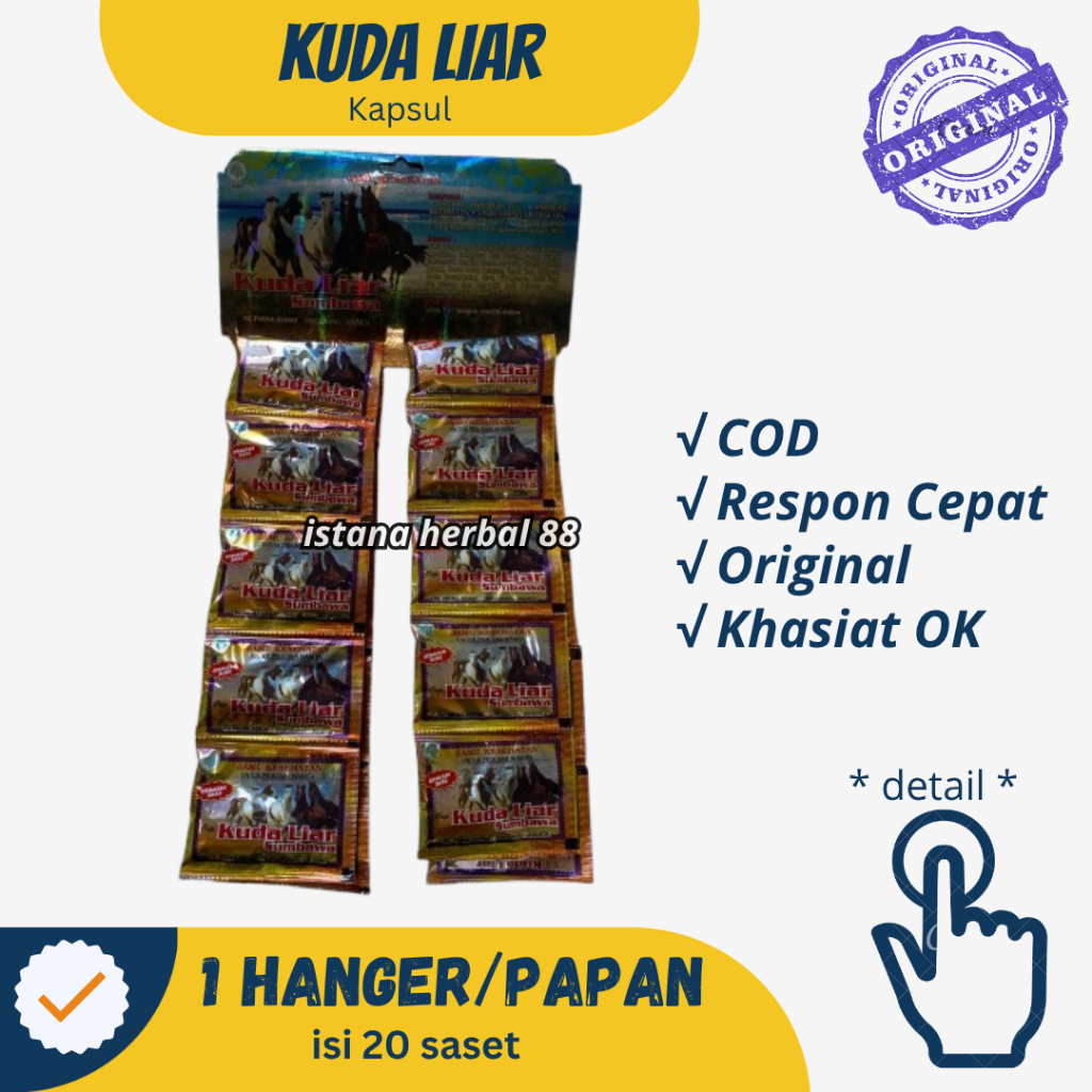 Kuda Liar Sumbawa Kapsul