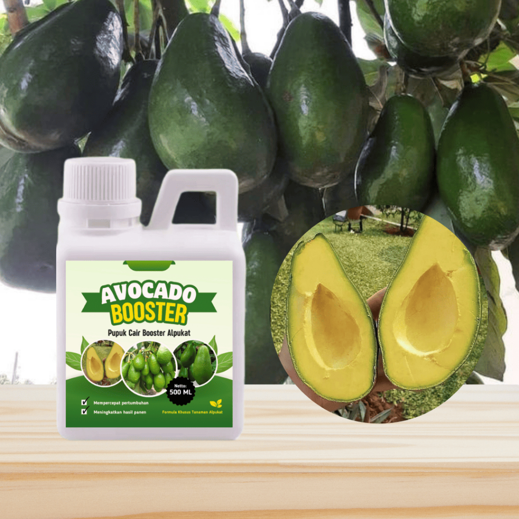 Pupuk Avocado Booster 500 ML Formula Organik Cair untuk Alpukat Subur & Produktif