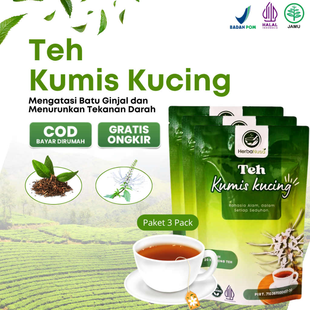 

TEH KUMIS KUCING [Paket 3 pack] - Herbal Ampuh Atasi Batu Ginjal Meredakan Nyeri Sendi & Asam Urat