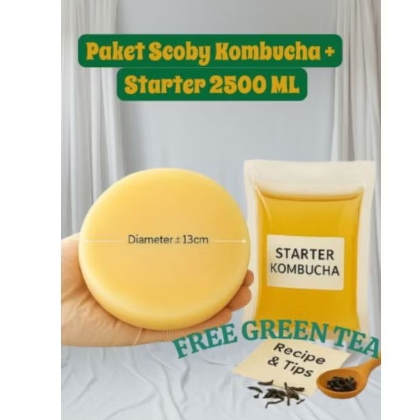 

PAKET SCOBY KOMBUCHA & STARTER 250 ML