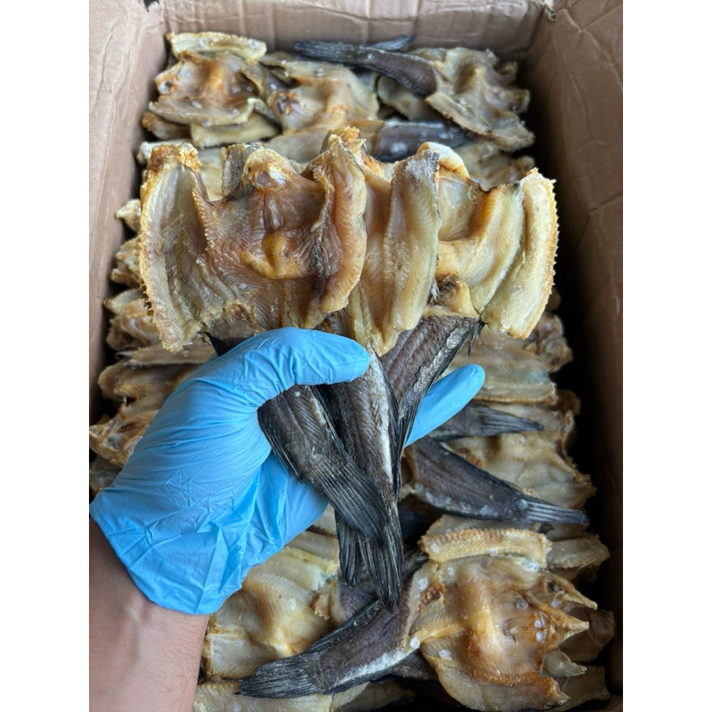 

Ikan Asin Gabus Kering Premium 250gr