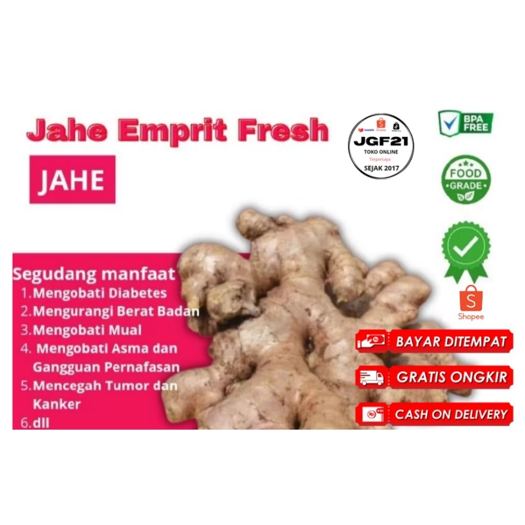 

TERLARIS NO.1 - 1000Gr- JAHE EMPRIT - GAJAH- PARIS JURAGAN - JAHE PUTIH ORGANIK