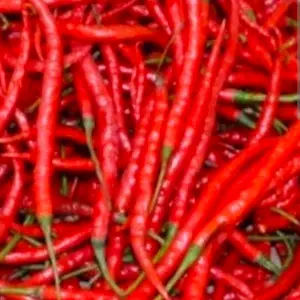 

cabe keriting merah 250 gr