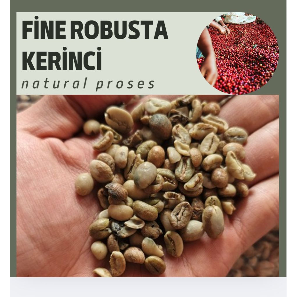 

Fine robusta kerinci asalan / kopi petik merah asalan