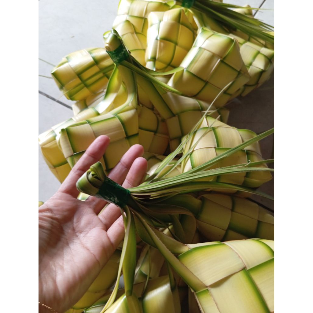 

daun cangkang ketupat siap isi 10 biji