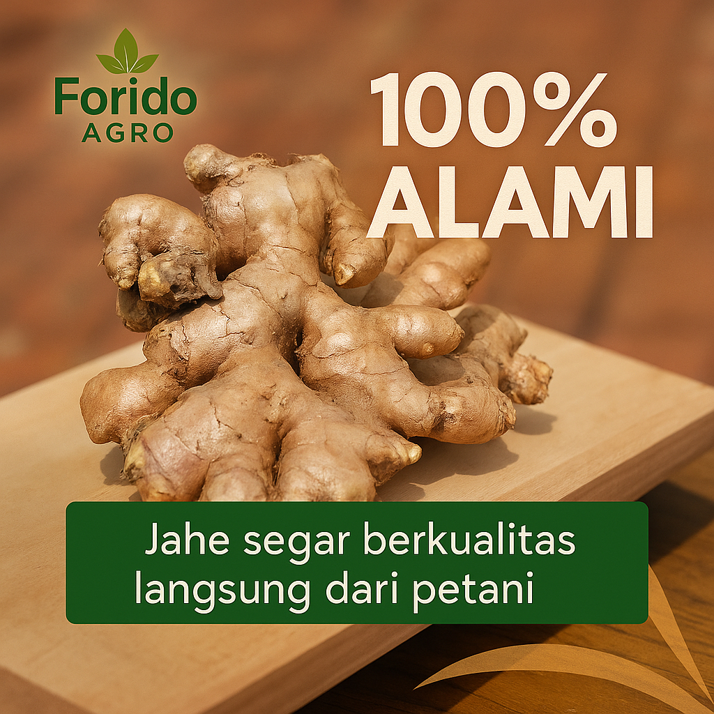 

Jahe Organik Segar 500 gr - Jahe Alami Berkualitas