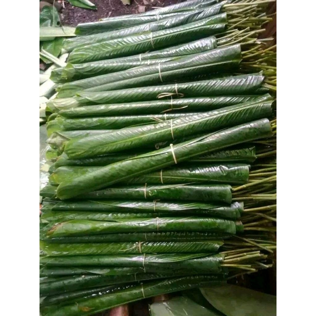 

50 lmbr daun patat doclang lontong segar freshh dadakan